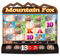 13bet.com
